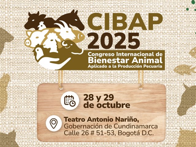 CIBAP.