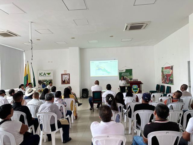 Certificación a productores de chontaduro de Villagarzón.