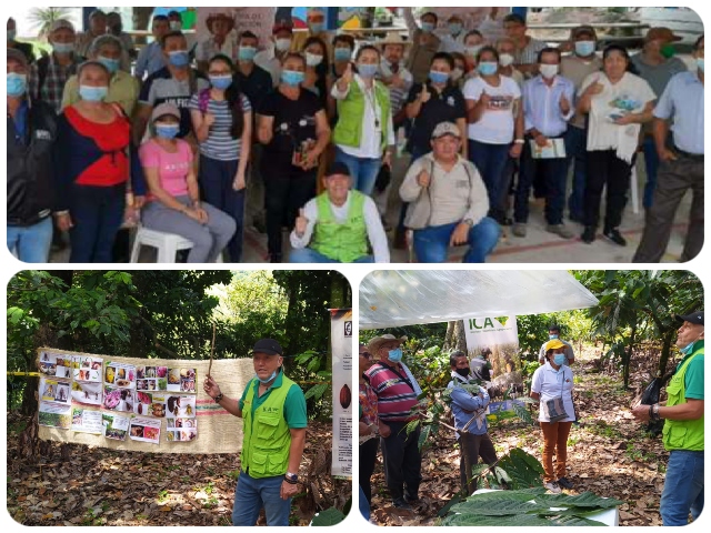 El ICA trabaja en equipo con la Federación Nacional de Cacaoteros para fortalecer la producción de cacao en el Huila 