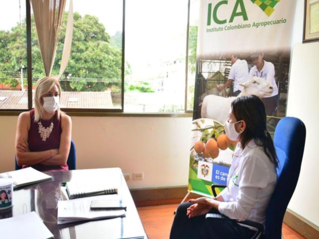 Avanza el registro de viveros en el Tolima.