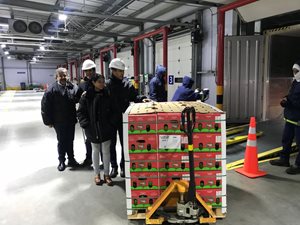 Aguacate-12.jpg