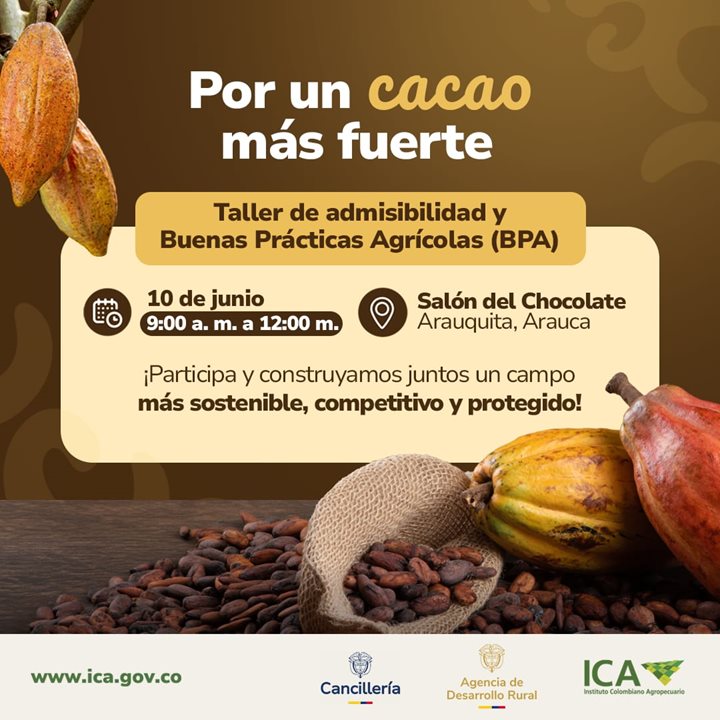 CACAO-ARAUCA.jpeg
