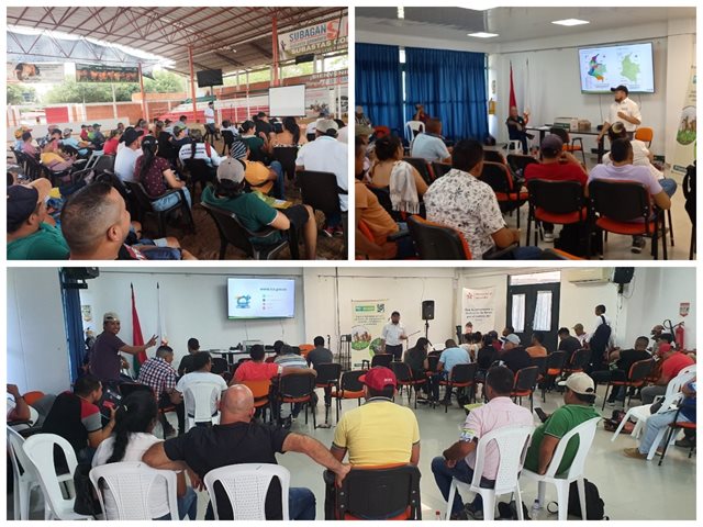 En Arauca, vacunadores capacitados para atender ciclo adicional de fiebre aftosa