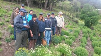 IMG-20160505-WA0011.jpg IMG-20160505-WA0011.jpg