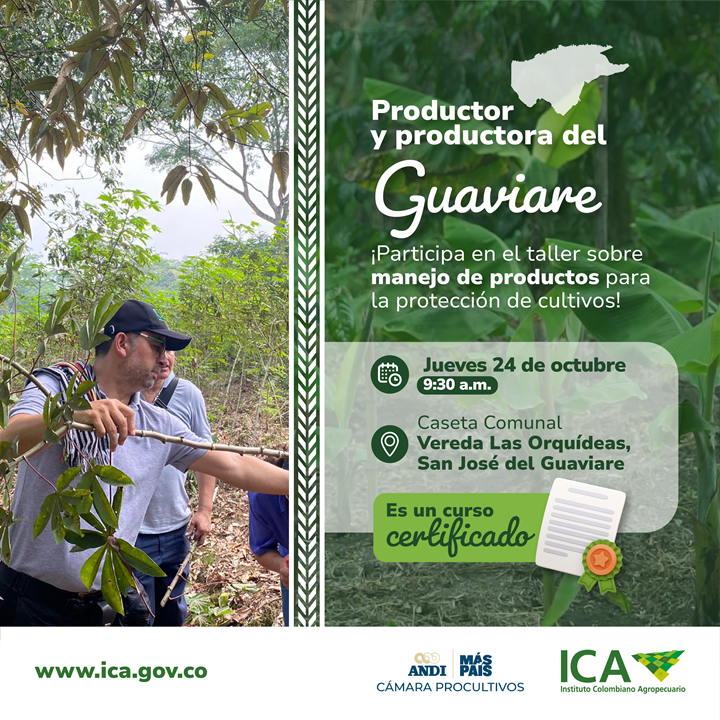 GUAVIARE_Mesa-de-trabajo-1-copia-3-1.png