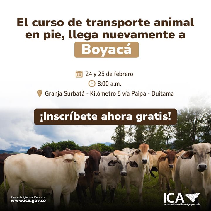 ICABOYACA.jpg
