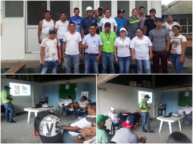 Funcionarios de la planta de beneficio de Puerto Asís son actualizados en enfermedades de control oficial 