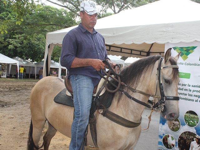 Se reanudan las actividades de la Cadena Equina de Antioquia, CEANT