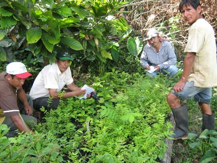 Se define futuro del sector agropecuario en Amazonas
