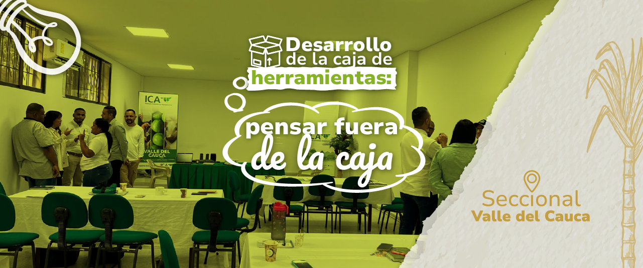 Visita Valle - Caja de Herramientas - Pensar Fuera de la Caja
