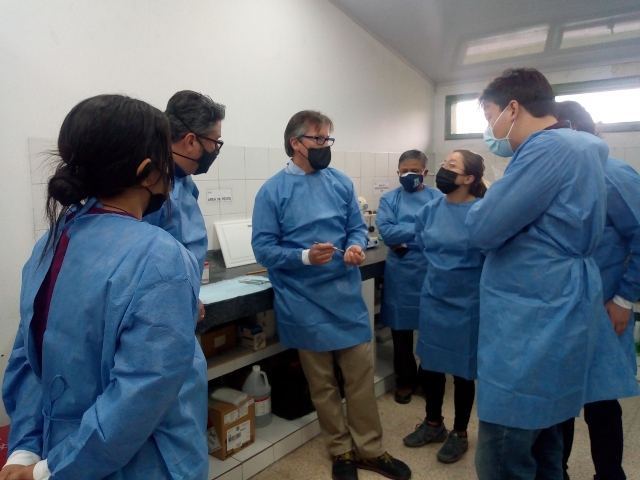 Alianza entre el ICA y la OIE para fortalecer la capacidad diagnóstica del país