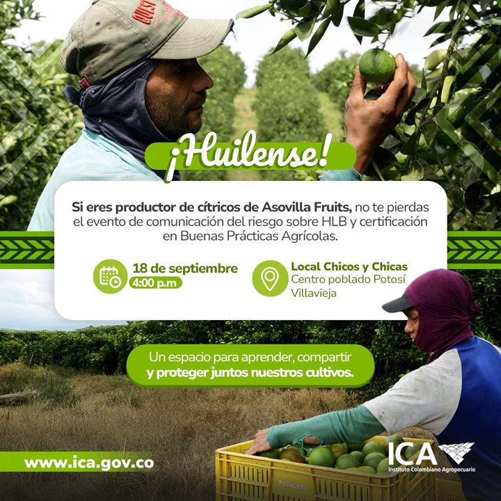 HUILA.jpeg
