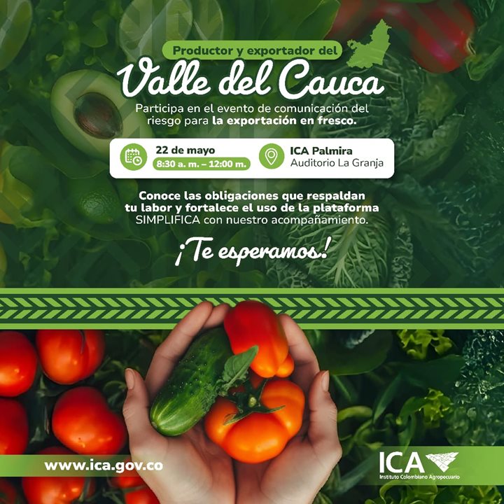 TOMATE-VALLE-DEL-CAUCA.jpeg