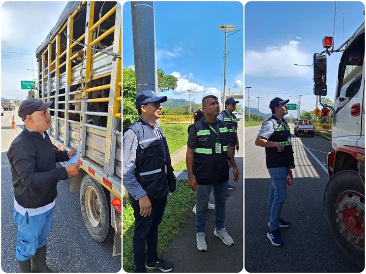 ICA-CASANARE-18112024-1.jpg