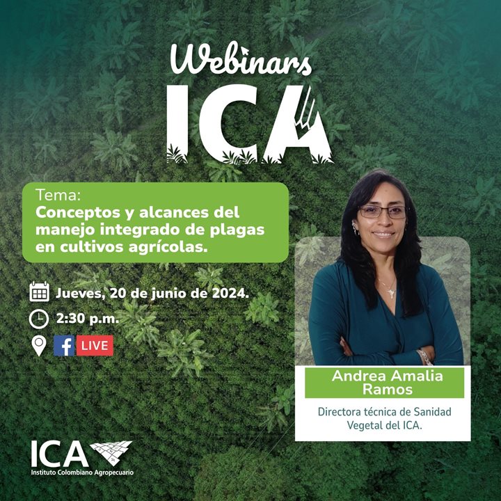 WEBINARSICA.jpeg