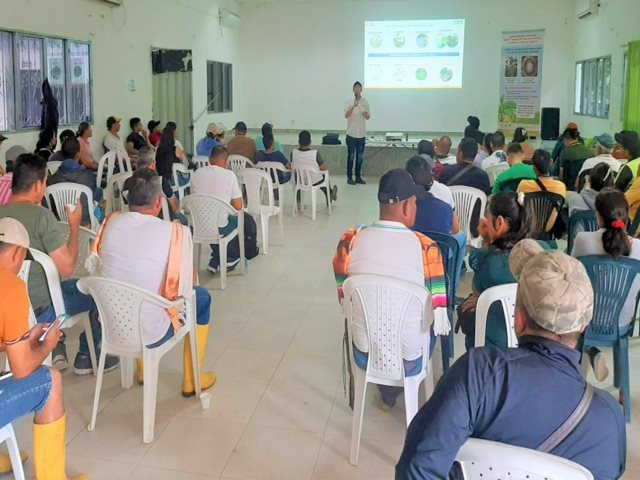 Más de 120 pequeños productores de plátano en Arauca se capacitaron en prevención del Fusarium R4T 