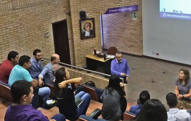 En Antioquia, se unen fuerzas para trabajar por los equinos