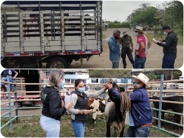 Inspección, vigilancia y control en ferias comerciales.