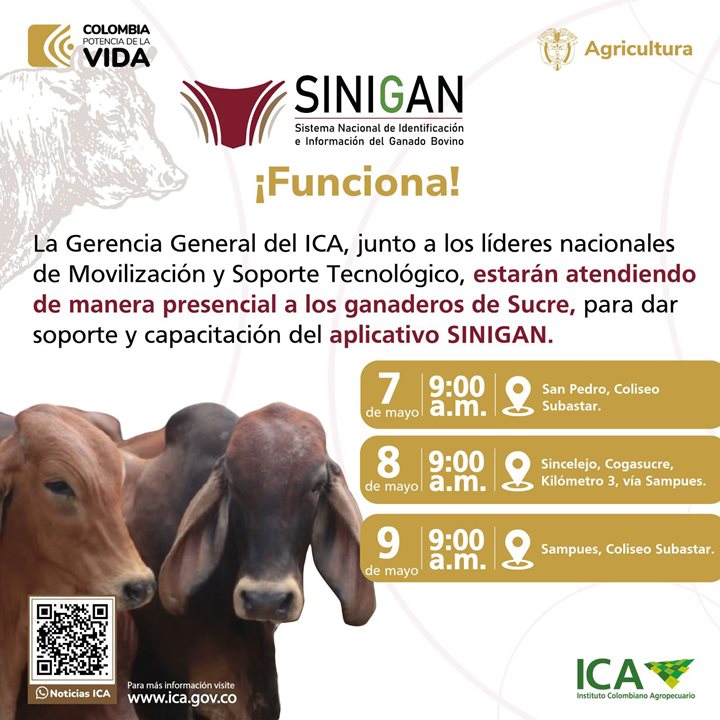 SINIGAN-SUCRE.jpeg