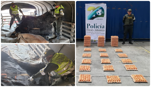 3.580 huevos de contrabando fueron incautados en zona de frontera con Ecuador