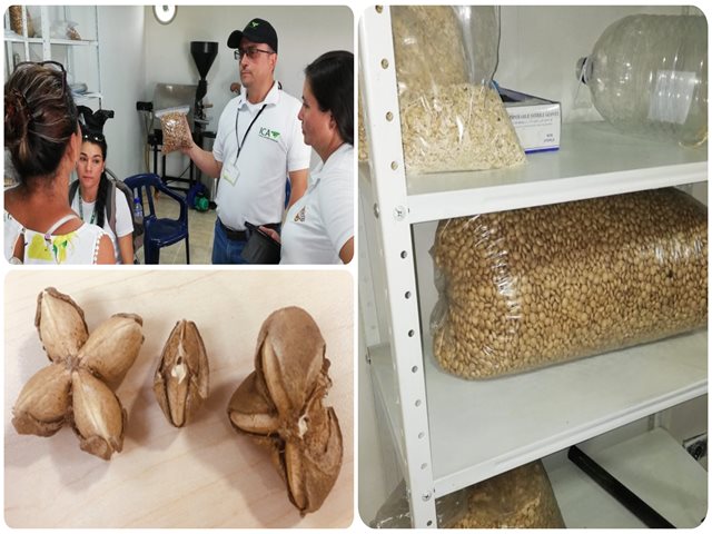 En Arauca, con productores del Espacio Territorial de Capacitación y Reincorporación, el ICA socializó oferta institucional
