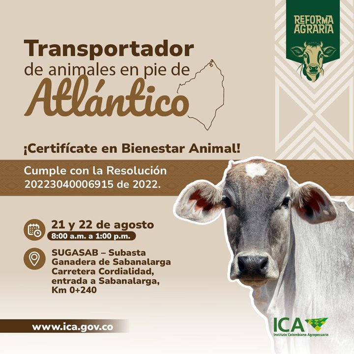 BEINESTAR-ANIMAL-ATLANTICO.jpeg BEINESTAR-ANIMAL-ATLANTICO.jpeg