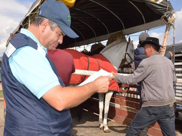 ICA en Boyacá implementa medidas para proteger la sanidad equina