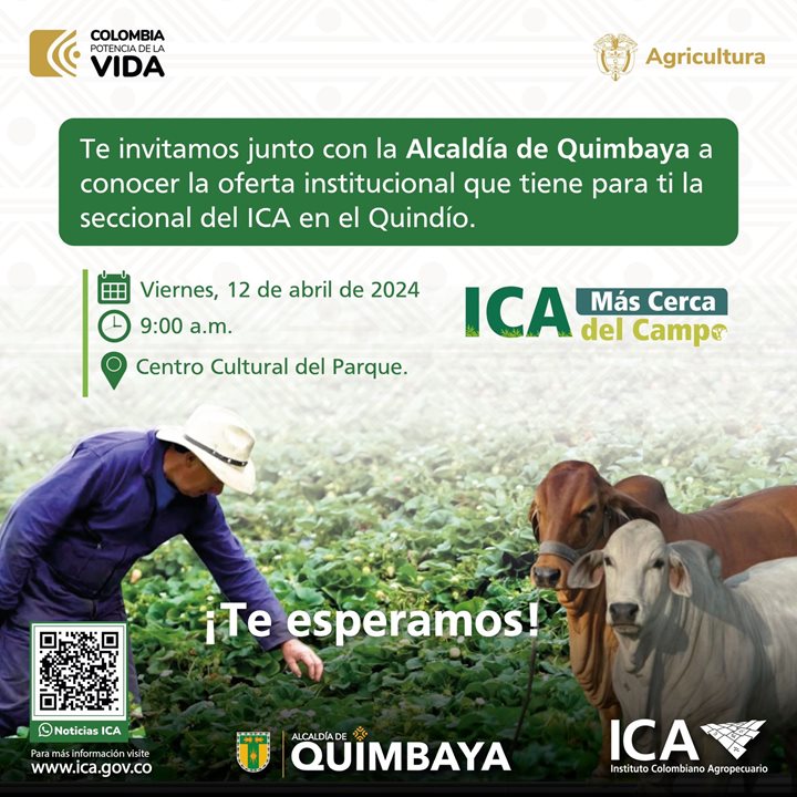 QUINDIO.jpeg