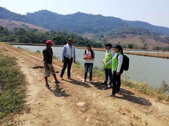 Productores piscícolas de Casanare aseguran las condiciones sanitarias de sus establecimientos