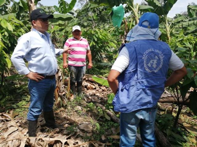 En Arauca, el ICA realiza jornadas de educomunicación para la sostenibilidad del sector agropecuario 