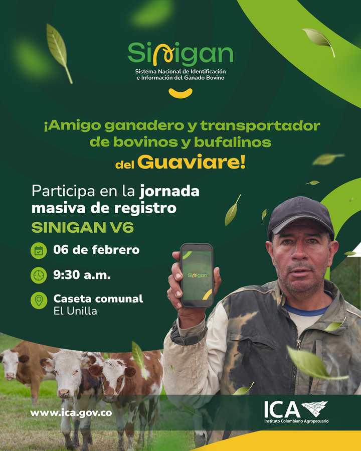 1-pieza-sinigan-Guaviare-registro-masivo-04.png