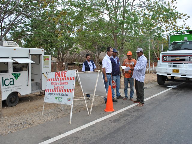 Cerca de 100 reses y 32 cerdos de contrabando fueron inmovilizados en La Guajira