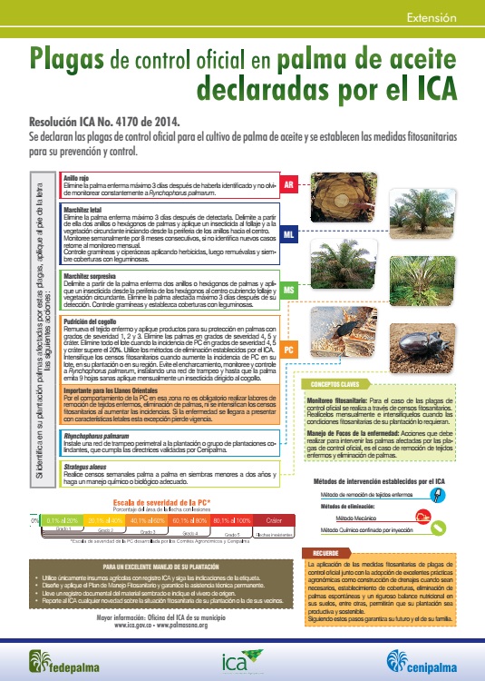 Abrir Infografia en PDF