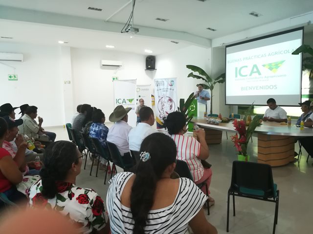 Arauca avanza en la certificación de predios en Buenas Prácticas Agrícolas 