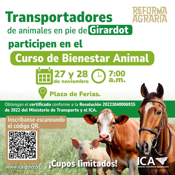 CURSOTRANSPORTEGIRARDOT.jpg