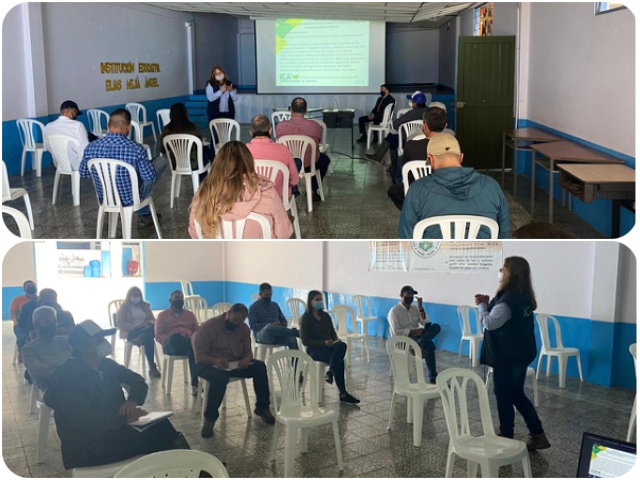 Productores de aguacate Hass de Caldas conocen la normatividad del ICA para el registro de predios exportadores 