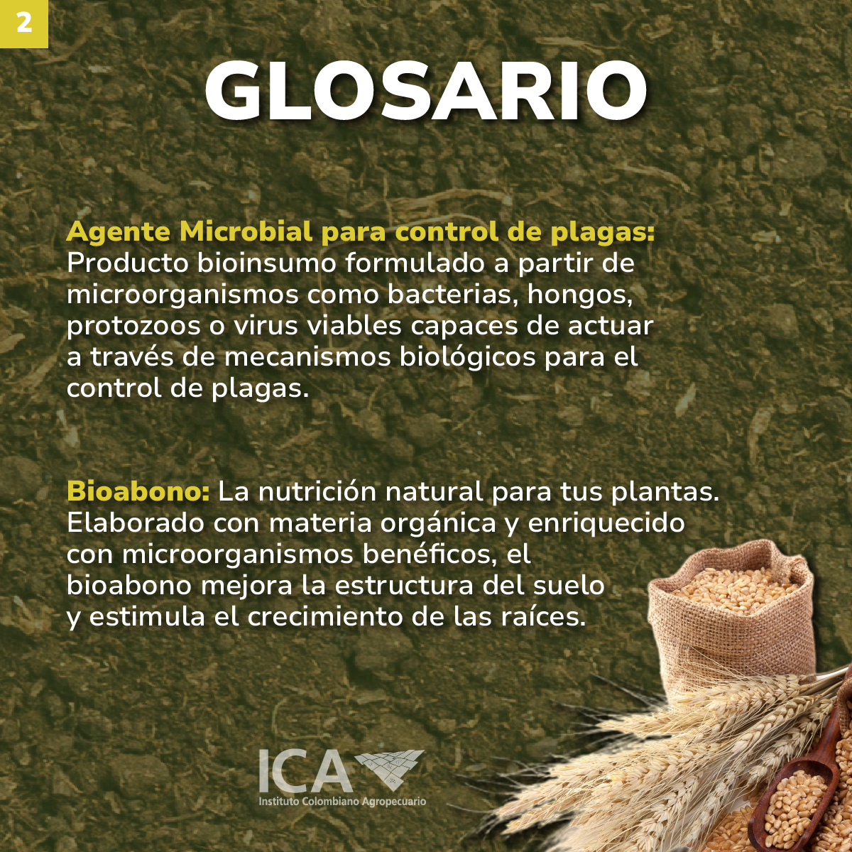Glosario 1