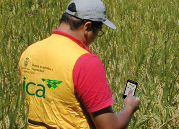 El ICA lanza plataforma tecnológica para cuidar el campo de la presencia de plagas