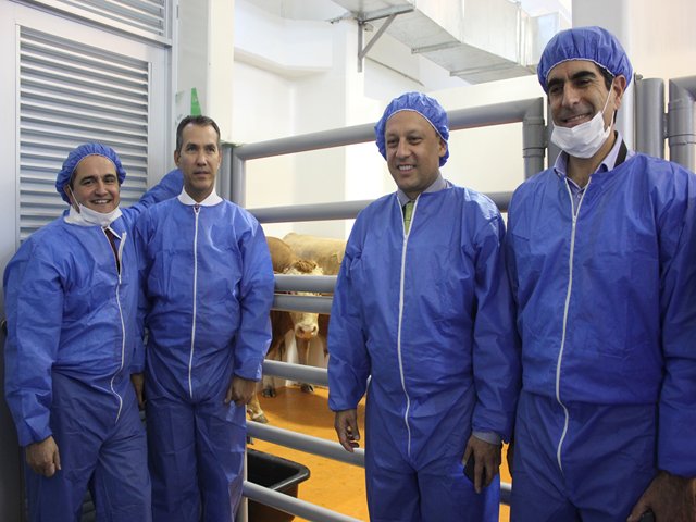 Se reanudan con éxito las importaciones de bovinos norteamericanos