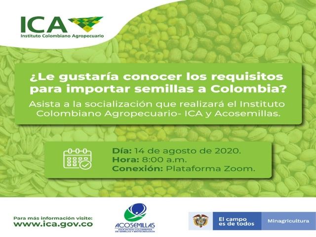 Invitación a la socialización virtual.