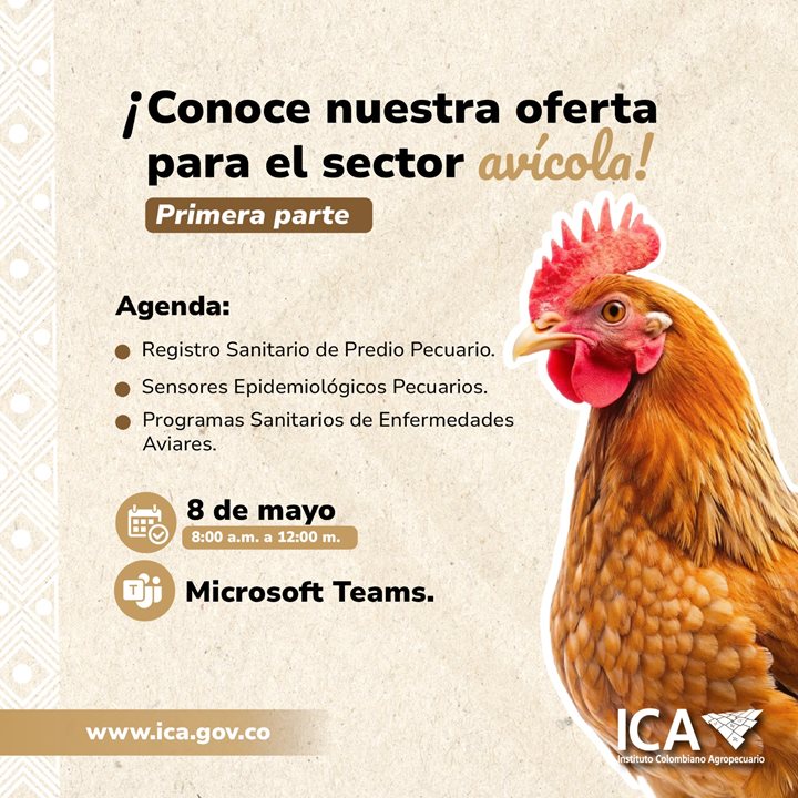 OFERTA-AVICOLA.jpeg