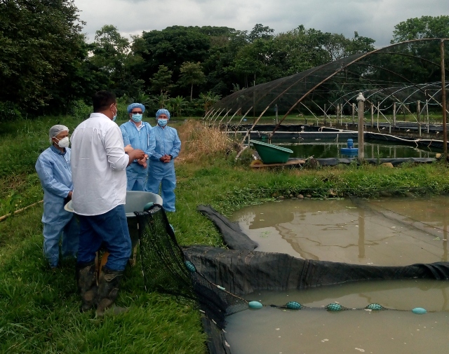 Foto-ICA-Practica-de-necropsia-y-toma-de-muestras-en-campo.jpg
