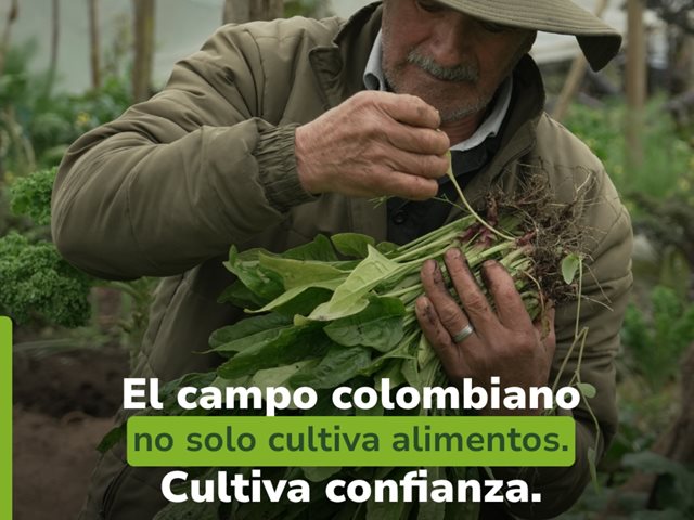 Las Buenas Prácticas Agrícolas: compromiso con la salud, el ambiente y la calidad de los alimentos 
