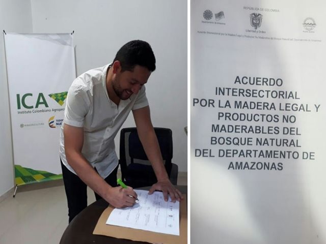 El ICA comprometido con la legalidad de la madera en el Amazonas 