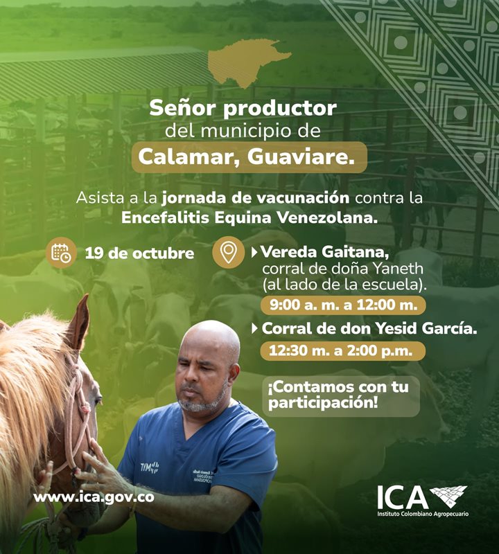 GUAVIARE.jpeg