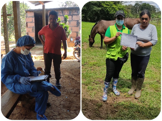 En el Guaviare el ICA capacita y formaliza nuevos sensores epidemiológicos