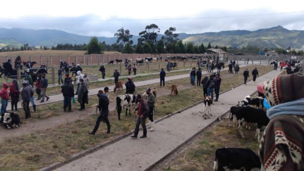 Foto-ICA-Reapertura-Feria-Ganadera-Pasto.jpg