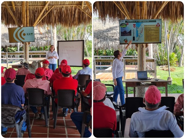 El ICA en Quindío socializa con el parque Panaca las estrategias de prevención del HLB 
