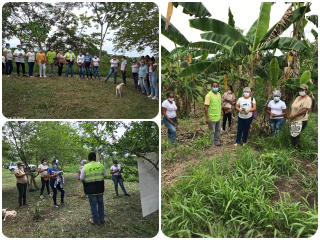 Productores agrícolas, mujeres emprendedoras rurales de Bolívar y el ICA trabajan por la sanidad agrícola del departamento