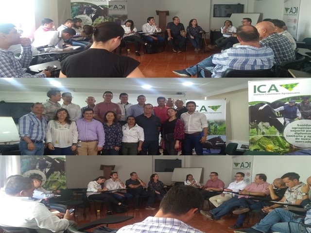 El ICA, actor primordial de la Cadena Ganadera del Quindío